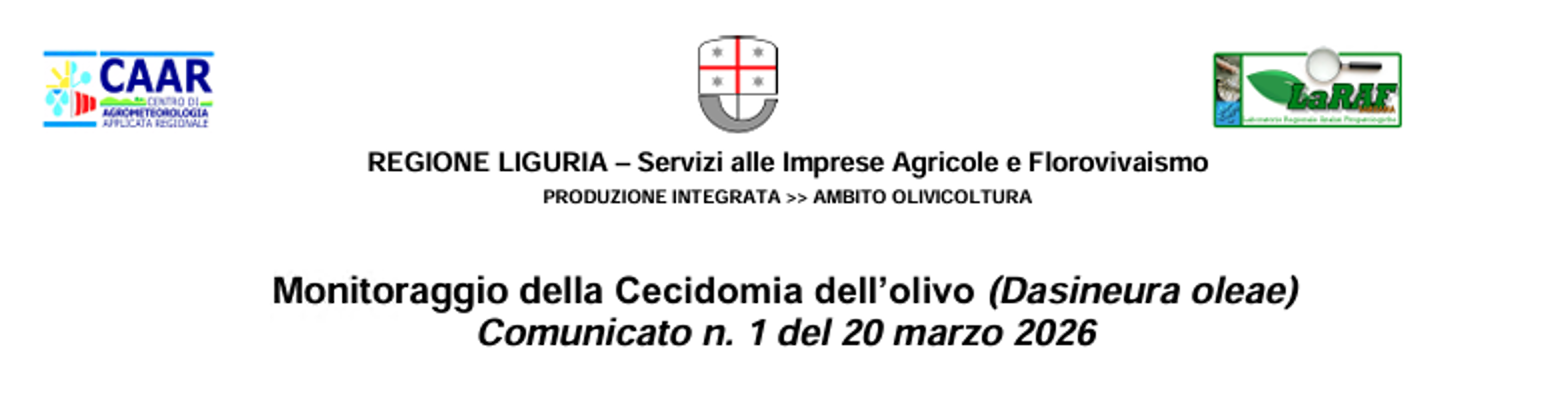 Avvio comunicati su Cecidomia dell’olivo